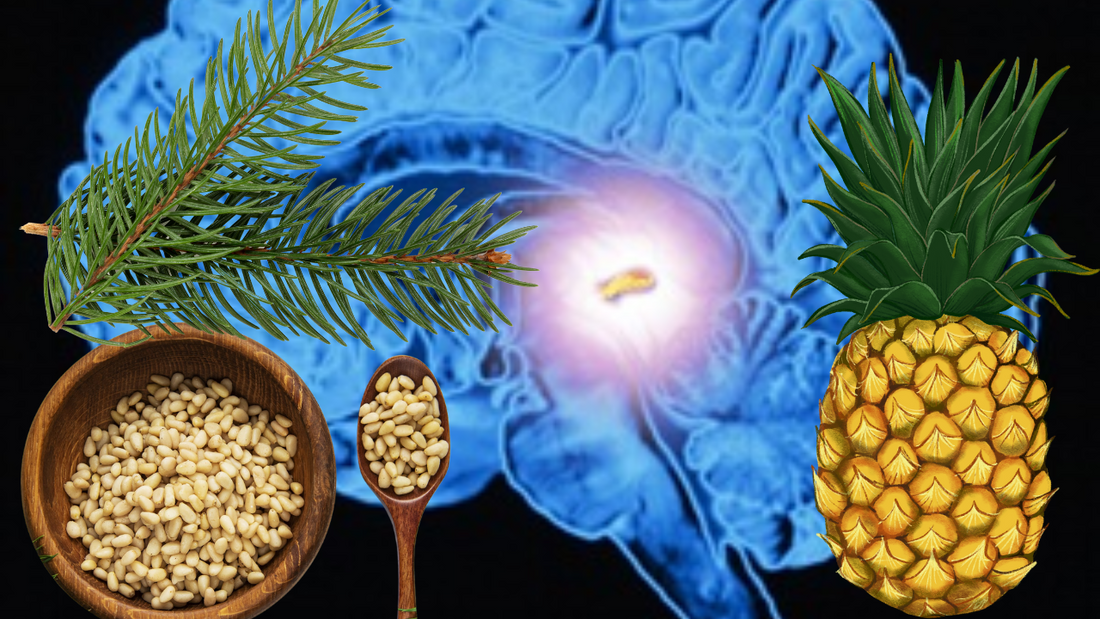 Pineal Gland Decalcification- Ancient & Modern Medicine