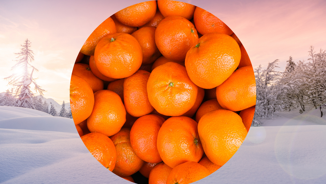 When are Mandarins In season?