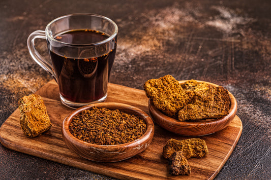Chaga: From Ancient Folk Medicine to Modern Scientific Discovery
